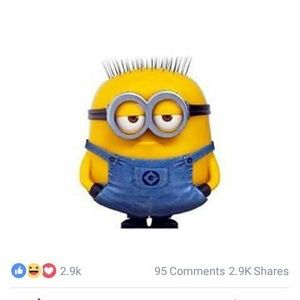 Meet your Posher, Shirley